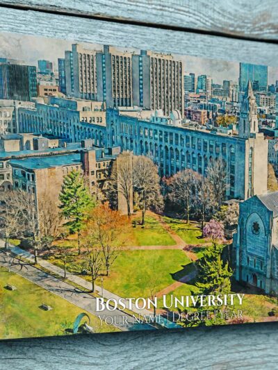 Boston University  in downtown Boston next to the Charles river with downtown vibe  or Boston