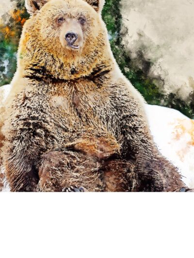 Brown Bear watercolor canvas, Brown Bear watercolor, Wildlife  Brown Bear canvas,  Brown Bear wall art, Wildlife wall art, Animal print