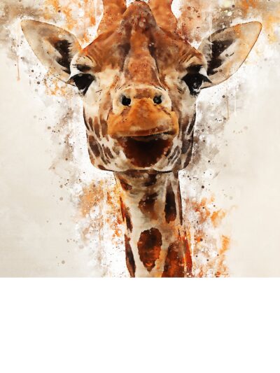 Giraffe watercolor canvas, Africa giraffe watercolor, Wildlife giraffe canvas, Giraffe wall art, Wildlife wall art, Animal print canvas