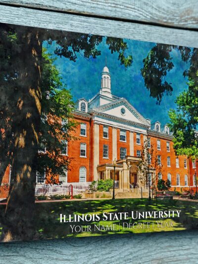 UNIVERSITY OF ILLINOIS STATE CAMPUS CANVAS PRINT HANGING ON WALL