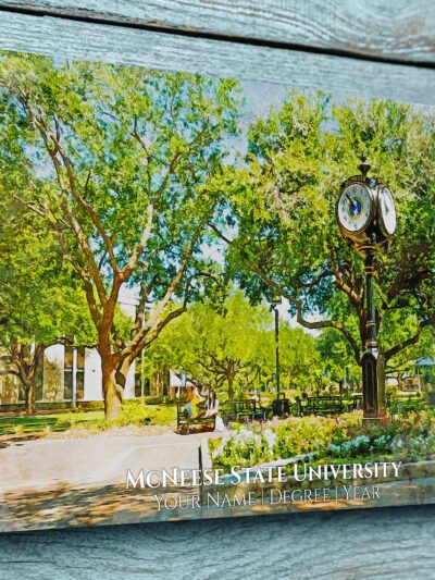 McNeese State University watercolor. Graduation gift, McNeese State University , College wall art,  College WC