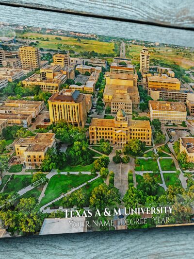 Texas A&M University watercolor. Graduation gift, Texas AM University , College wall art,  College WC