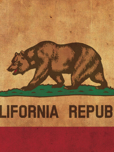 Vintage California Flag on Canvas, California, Flag, Wall Art, California Photo, California Print,West Coast Flag, Single or Multiple Panels