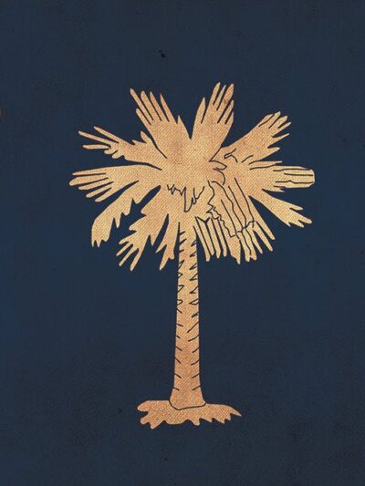 Vintage South Carolina Flag on Canvas, Flag, Wall Art, South Carolina Photo flag on canvas, Single or Multiple Panels Indiana flag