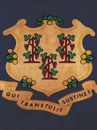 Vintage Connecticut Flag on Canvas, Connecticut Flag, Wall Art, Connecticut Photo, Connecticut Print, Single or Multiple Panels