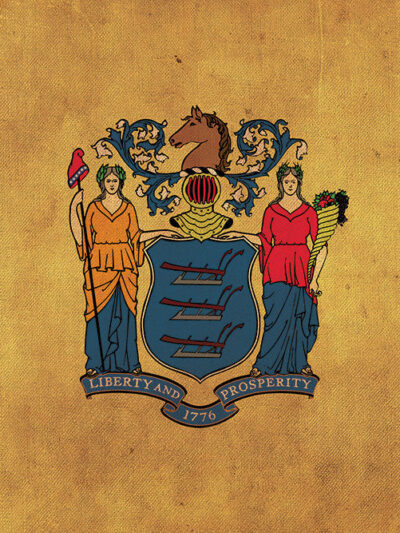 Vintage New Jersey Flag on Canvas, New Jersey Flag, Wall Art, New Jersey Photo New Jersey Print, Single or Multiple Panels