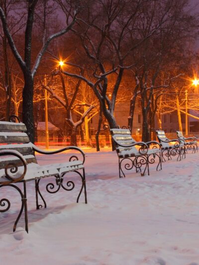 Beautiful park canvas in winter  Printed on Canvas, Nature canvas, Landscape Canvas Print, Park wall art, Canvas gifts, Park photo print