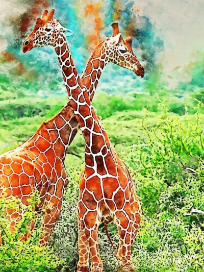 Giraffe watercolor canvas, Africa giraffe watercolor, Wildlife giraffe canvas, Giraffe wall art, Wildlife wall art, Animal print canvas