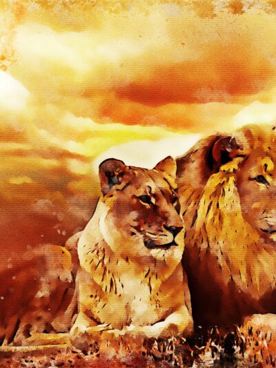 Lion watercolor canvas, Lion Canvas, Lion wildlife watercolor Animal Wall canvas,  Wildlife wall art, Lion family watercolor