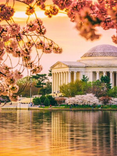 Beautiful Cherry Blossom canvas photo, Washington DC canvas, Monument Canvas Print, Blossom wall art, Canvas gifts, Cherry Blossom canvas