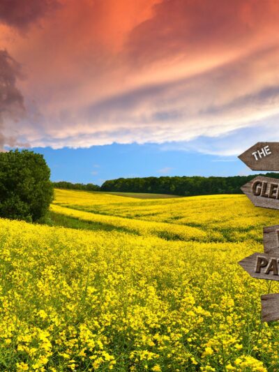 Personalized names canvas, Flowers sunset custom canvas, Color or Black and white, Personalized multi names canvas Family custom gift canvas