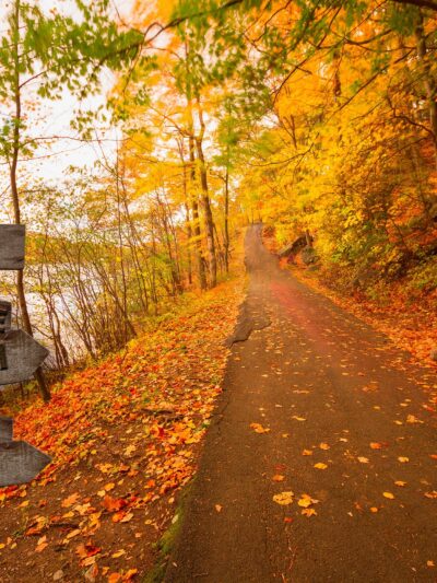 Personalized names canvas, Fall Colors custom canvas, Color or Black and white, Personalized multi names canvas Family custom gift canvas,