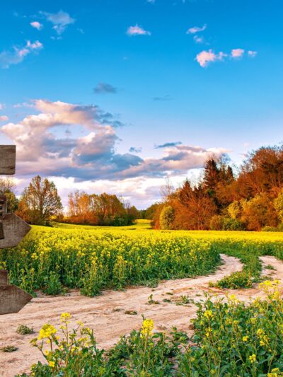 Personalized names canvas, Country road custom canvas, Color or Black and white,  Personalized multi names canvas Family custom gift canvas