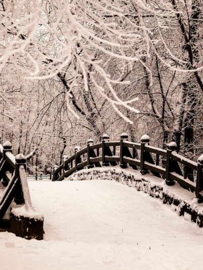 Personalized names canvas, Snow Covered Bridge custom canvas, Sign post names  Family custom gift canvas, Family sign