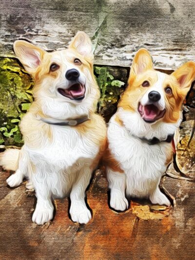 Watercolor Animal Portrait, Custom Animal Portrait, Custom Pet Portrait, Watercolor Pet Painting, Pet Sketch From Photo, Dog lover Cat lover