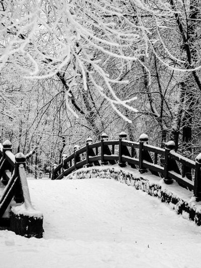 Personalized names canvas, Snowy central park custom canvas, Sign post names  Family custom gift canvas, Family sign