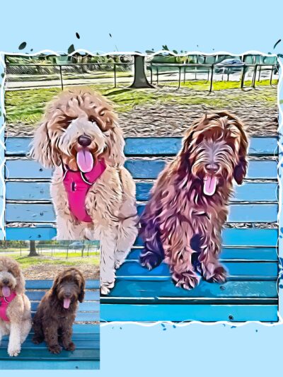 Custom Drawing, Cartoon Portrait, Vector Illustration, Personalized Gift, Birthday Gift, Couple Portrait, Family Portrait