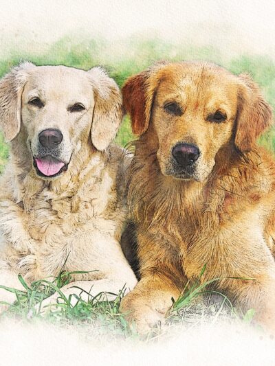 Watercolor Animal Portrait, Custom Animal Portrait, Custom Pet Portrait, Watercolor Pet Painting, Pet Sketch From Photo, Dog lover Cat lover