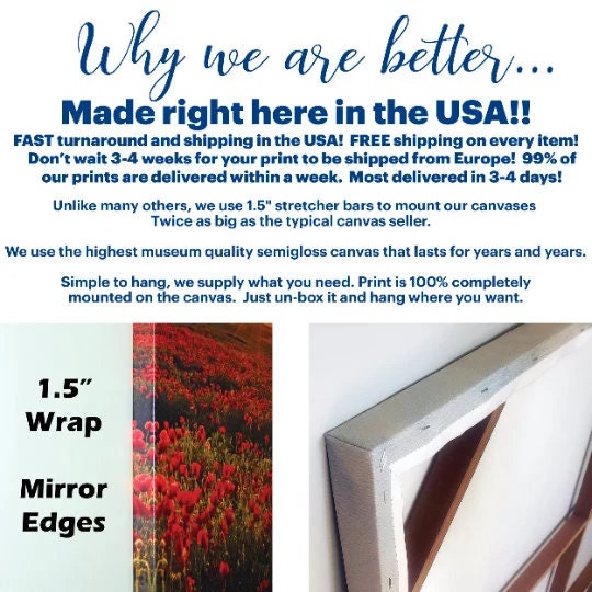 Aaron Rodgers and the Packers watercolor print on canvas - Image 4