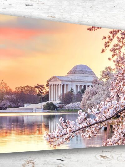 Cherry Blossoms Washington DC Canvas Print - Custom Printed Fine Art Print, Washington DC lovely with Cherry Blossoms