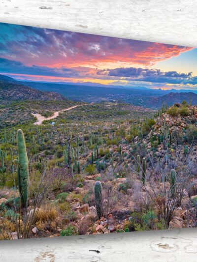Tucson travel art canvas print, Tucson wall art, Tucson canvas art,   Tucson watercolor canvas wall art,  Tucson Arizona print