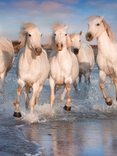 Landscape, Travel & Nature